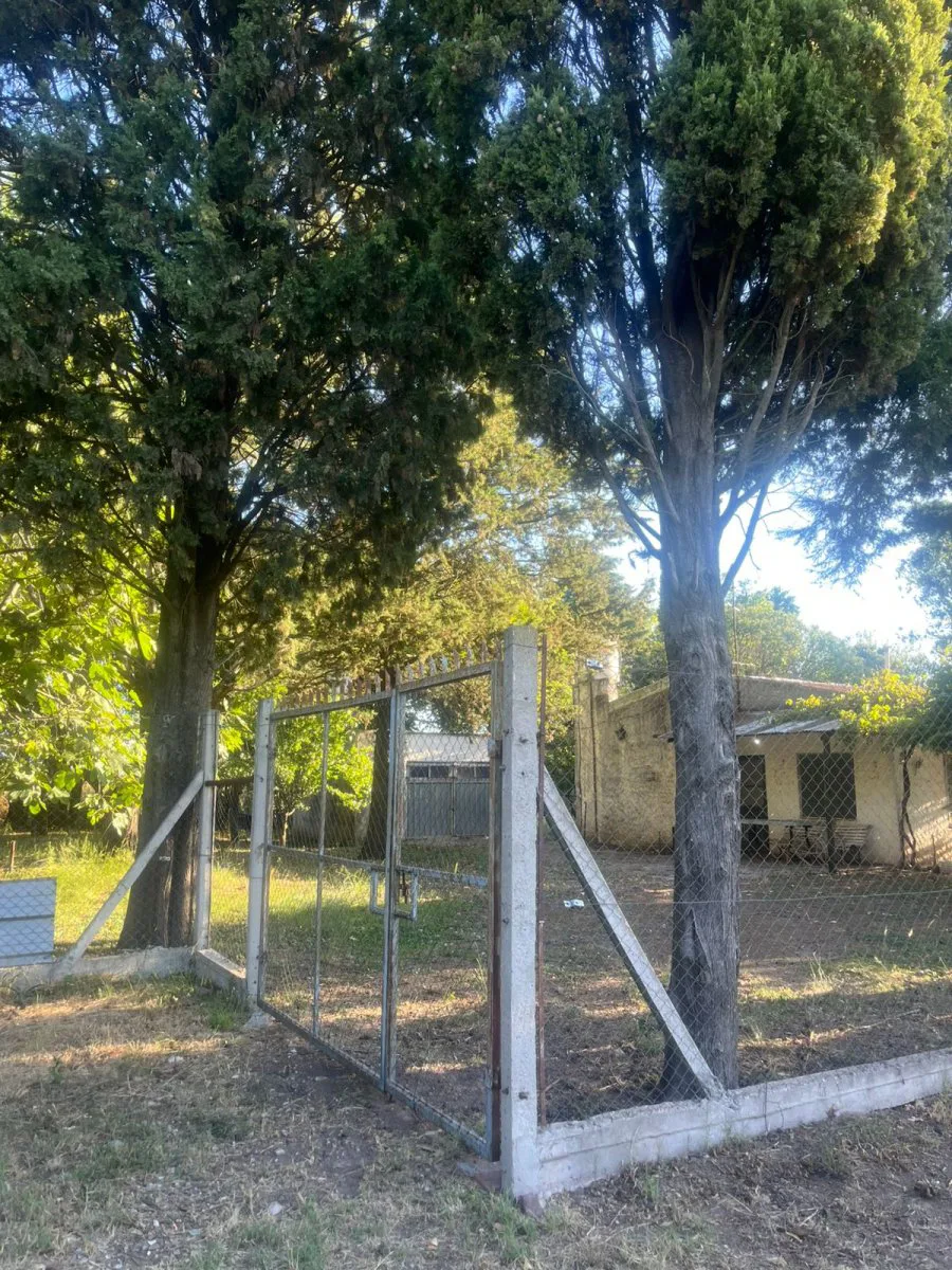 VENTA PARCELA 9000 MTS2 foto 4