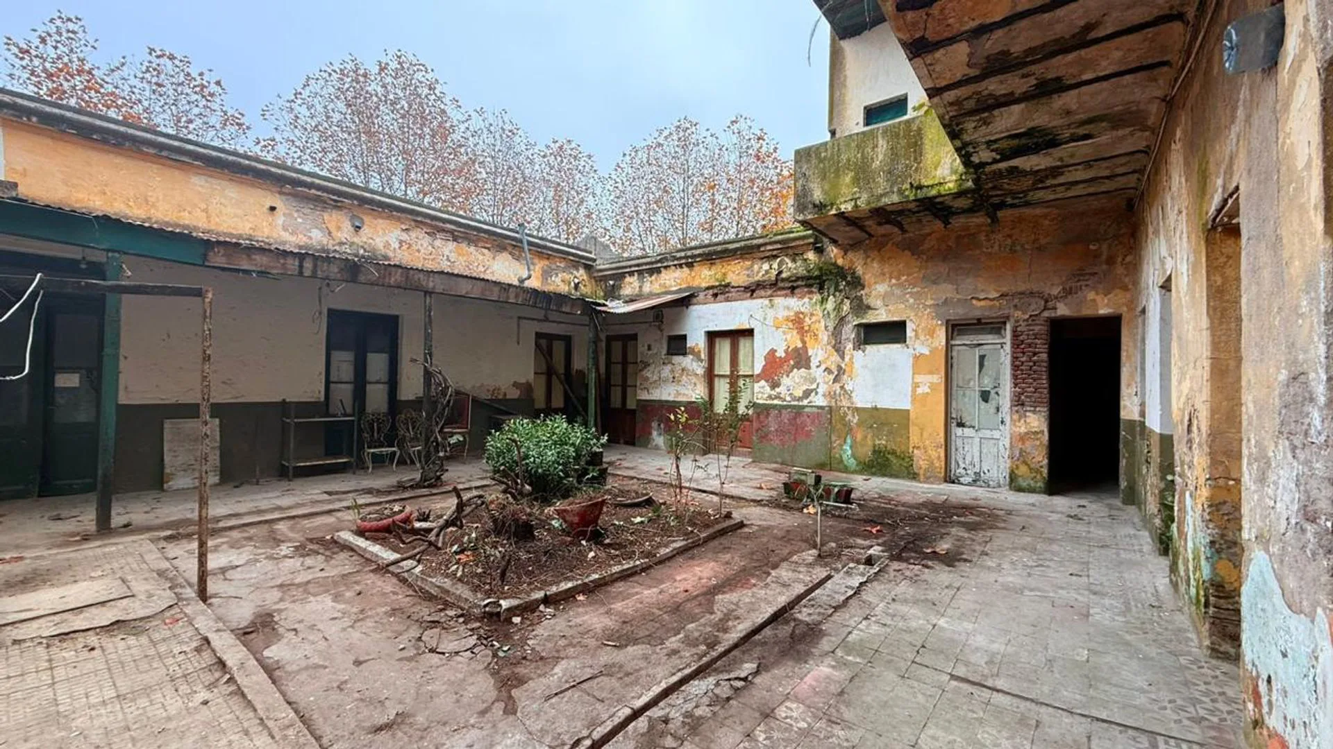VENTA TERRENO 1.500 METROS  MIRAMAR CENTRO foto 4