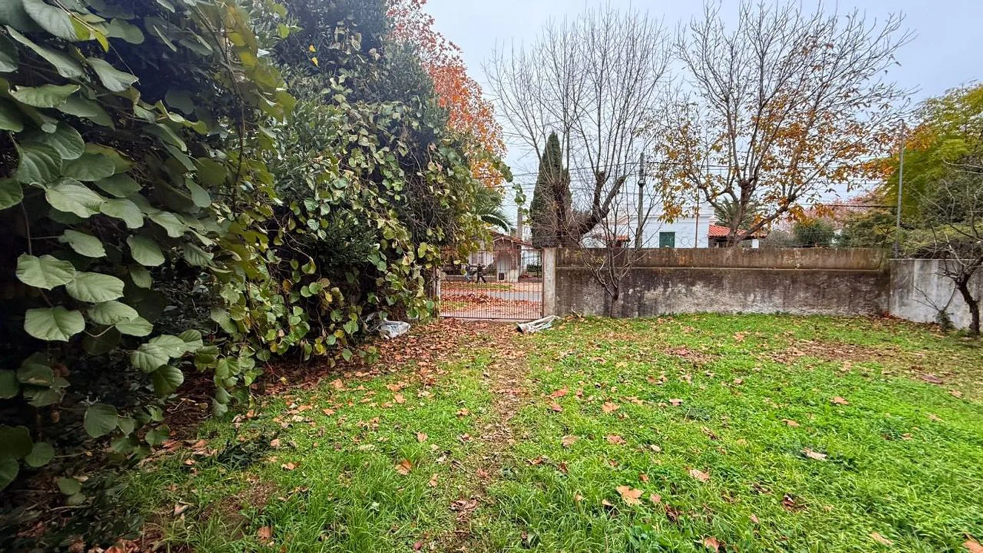 VENTA TERRENO 1.500 METROS  MIRAMAR CENTRO foto 5