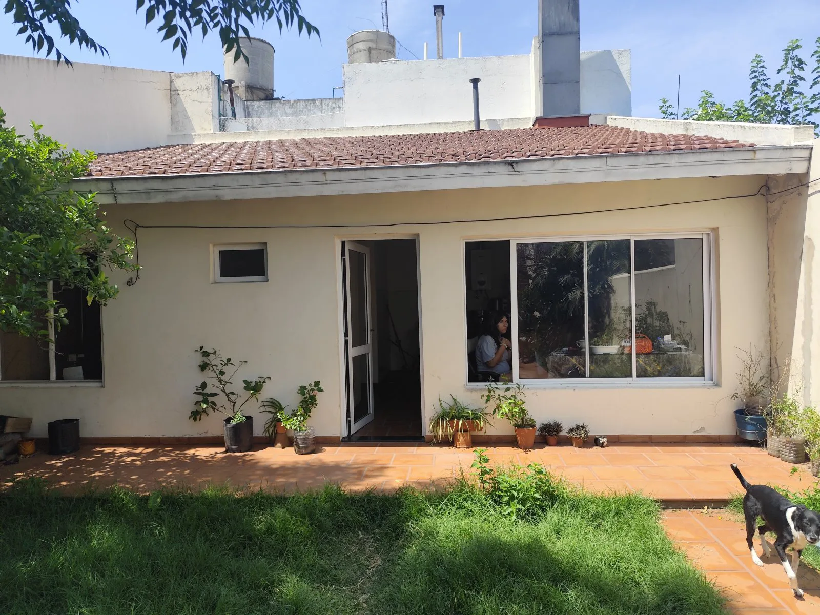 VENTA TERRENO RAMOS MEJIA B. MITRE AL 700 foto 4