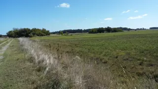 CAMPO 12,5 HECTÁREAS EN LAS TAHONAS foto 2