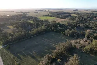 CAMPO 12,5 HECTÁREAS EN LAS TAHONAS foto 4