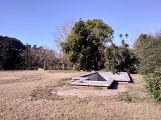Loteo Las Araucarias - La Reja foto 4