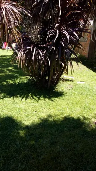 EXCELENTE PROPIEDAD DE  TRES AMBIENTES CON AMPLIO PATIO Y JARDIN MAS UN DEPARTAMENTO DE DOS AMBIENTES, TERRENO DE 10 POR 41 PARQUIZADO foto 4