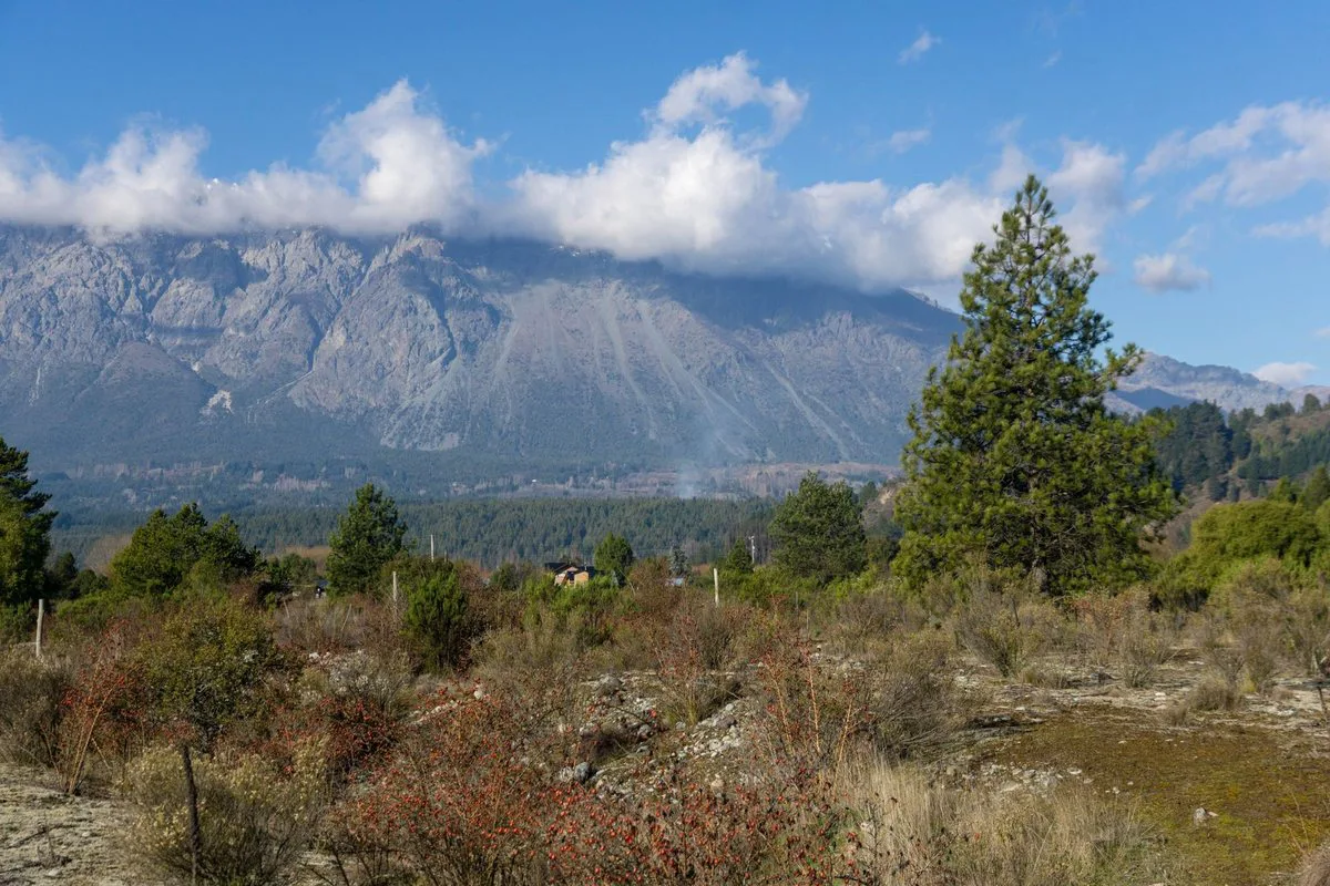 Terreno en Paraje Entre Ríos foto 3