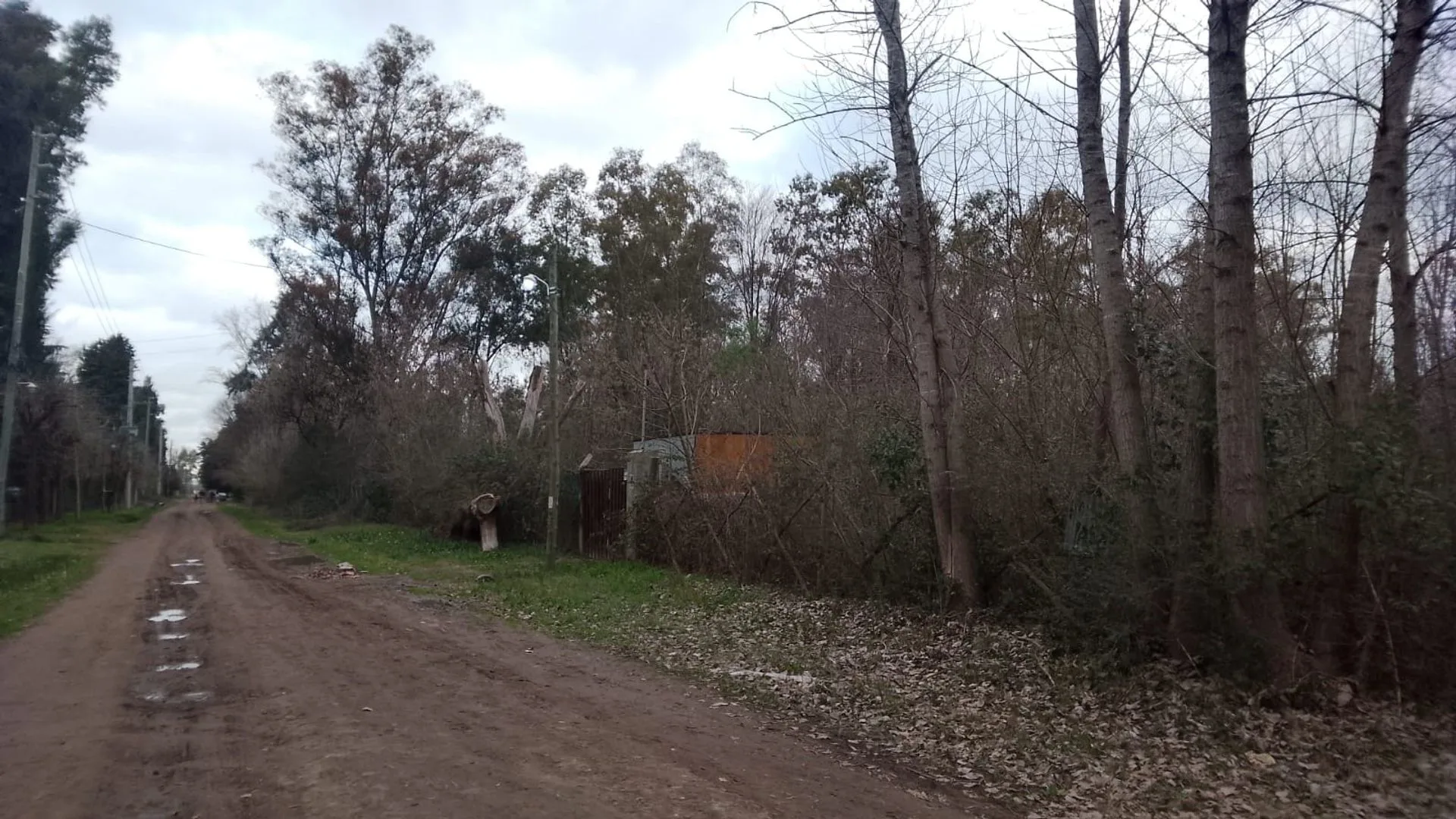 Lote480 m2 esq arbolado El Casco Gral Rodriguez foto 3