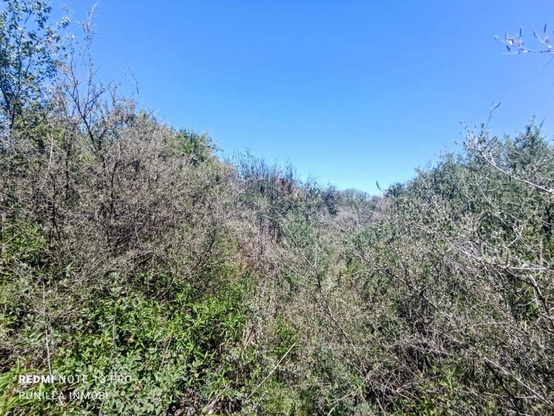 LOTE DE 733MTS EN CAPILLA DEL MONTE HERMOSA VISTA foto 3
