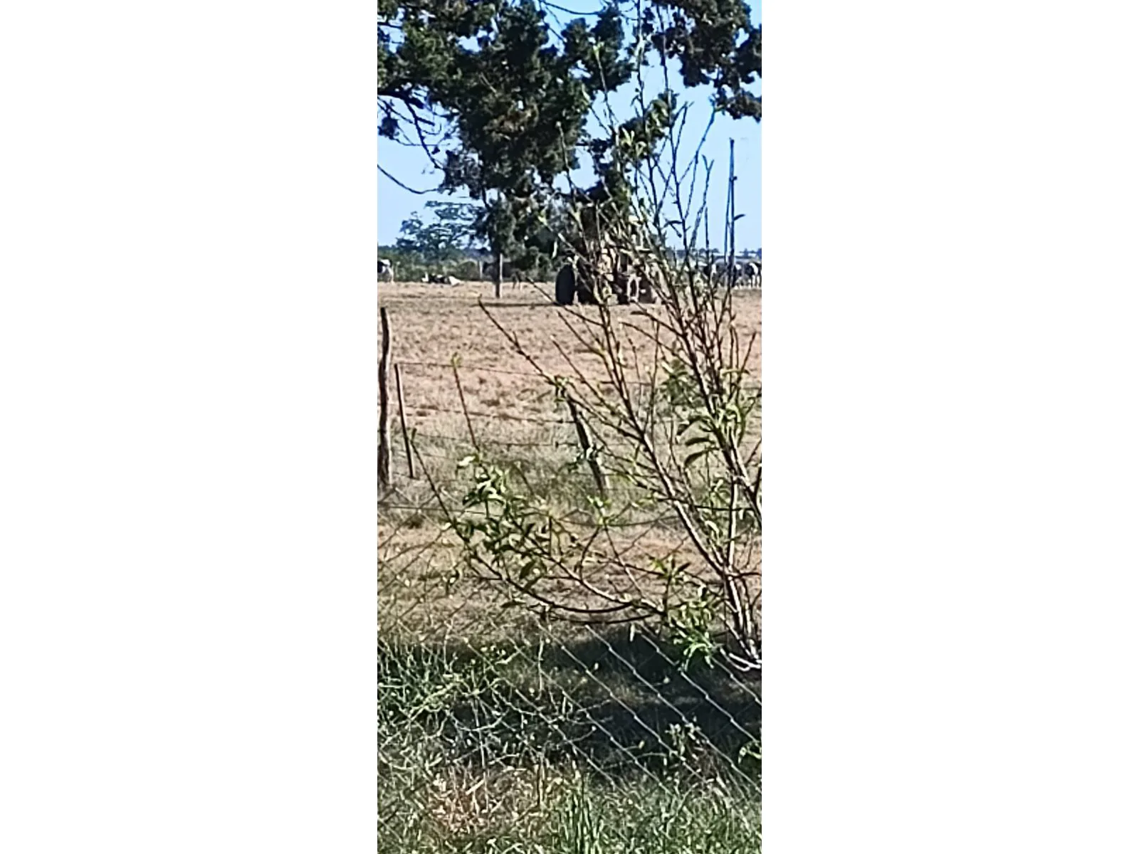 ¡¡Oportunidad Única en Entre Ríos*Hasenkamp! ??? foto 3