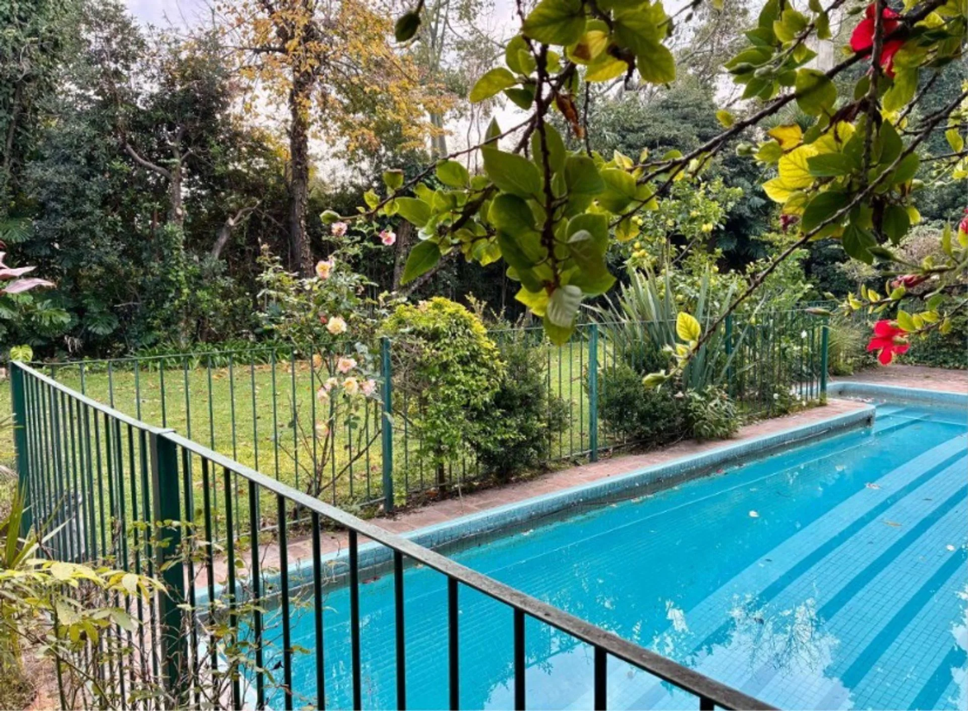 Venta Casa En Barrio Santa Rita Oportunidad foto 2