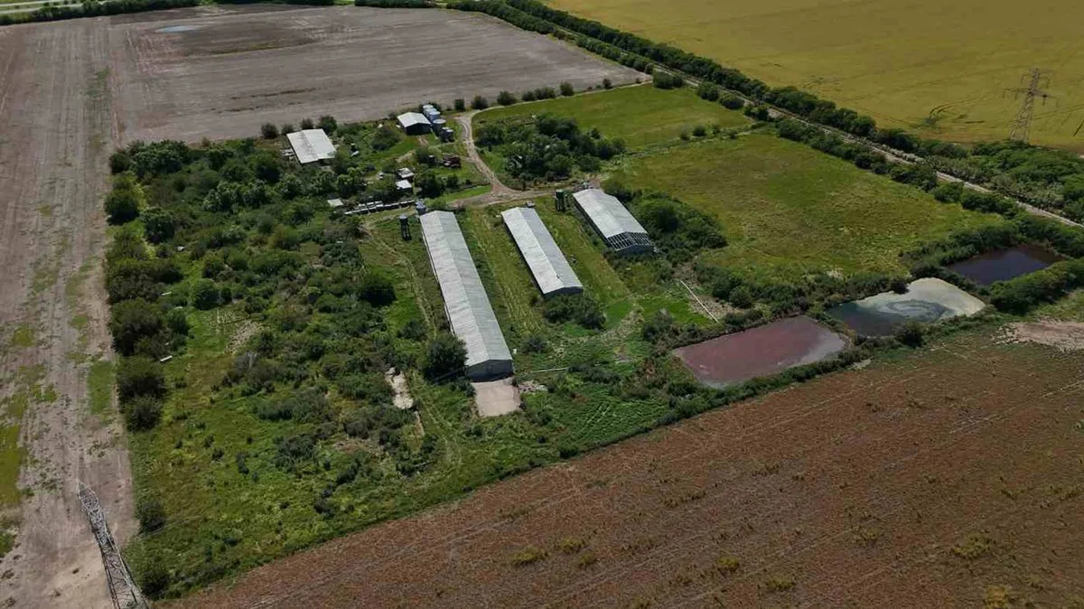 VENTA CRIADERO DE CERDO INTENSIVO. ACEPTA PERMUTA foto 2