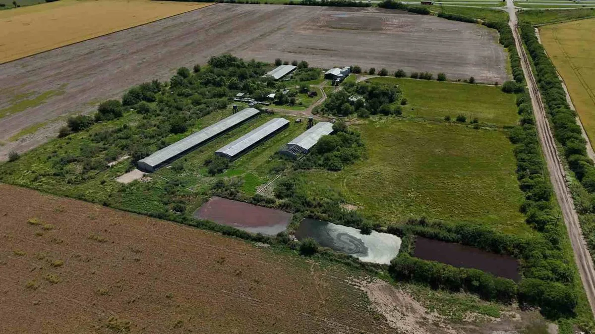 VENTA CRIADERO DE CERDO INTENSIVO. ACEPTA PERMUTA foto 3