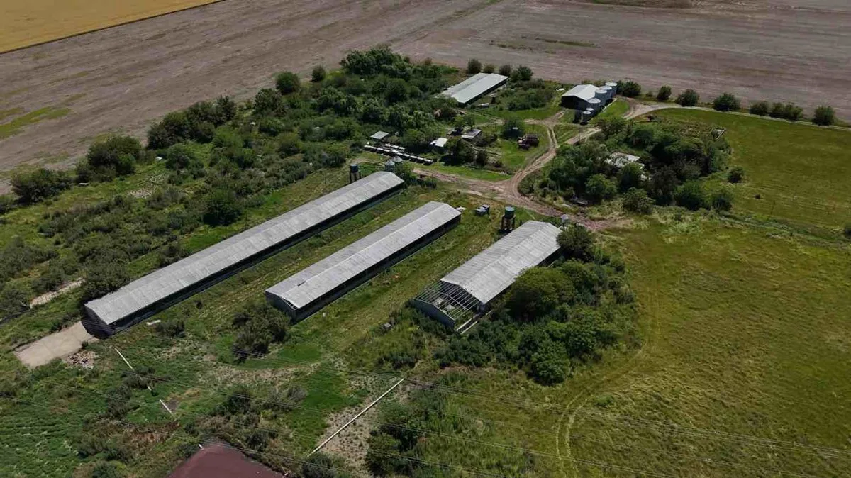 VENTA CRIADERO DE CERDO INTENSIVO. ACEPTA PERMUTA foto 4