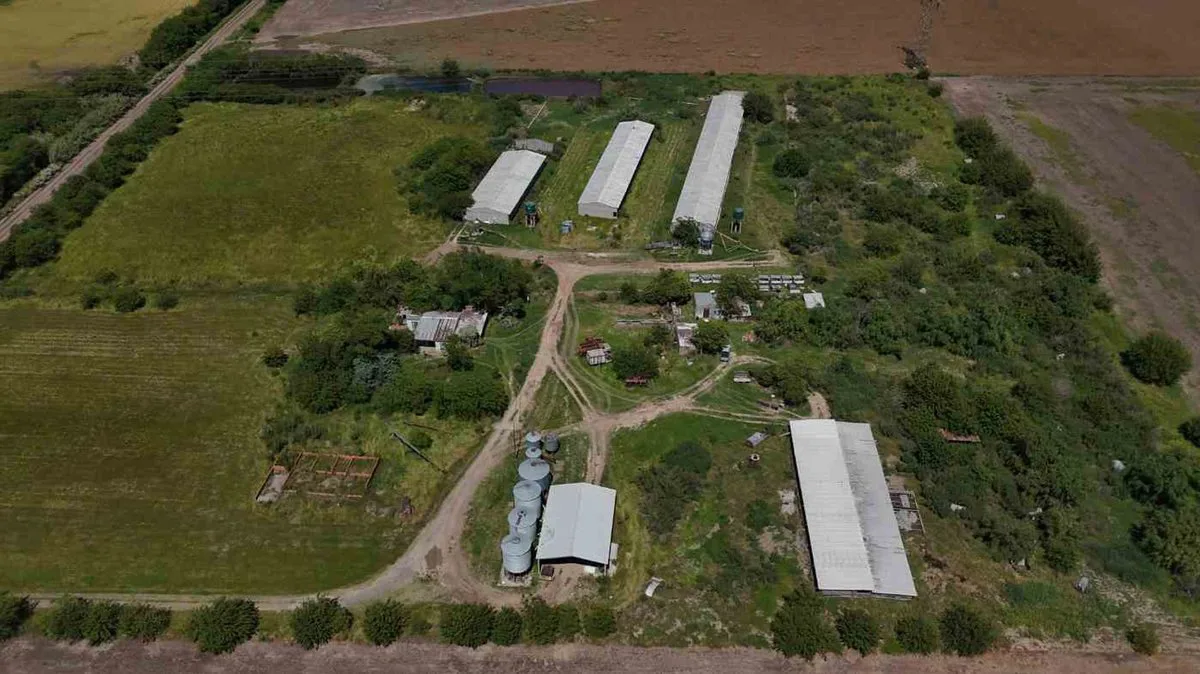 VENTA CRIADERO DE CERDO INTENSIVO. ACEPTA PERMUTA foto 5