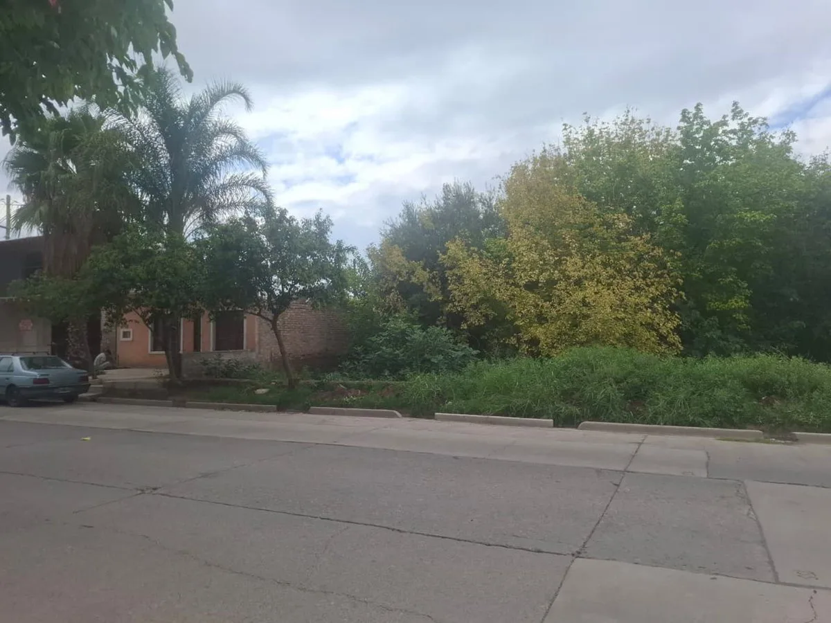 VENTA GRAN TERRENO 3000 M2 NVERSION LAS HERAS foto 4