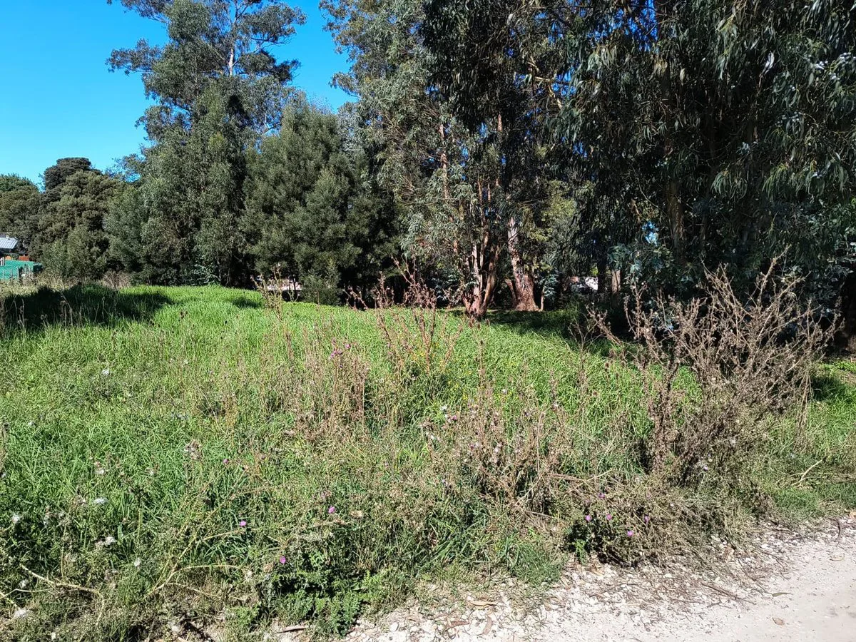 VENTA LOTE 700 MTR2 - SANTA CELINA foto 2