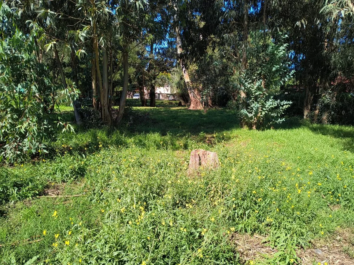 VENTA LOTE 700 MTR2 - SANTA CELINA foto 3