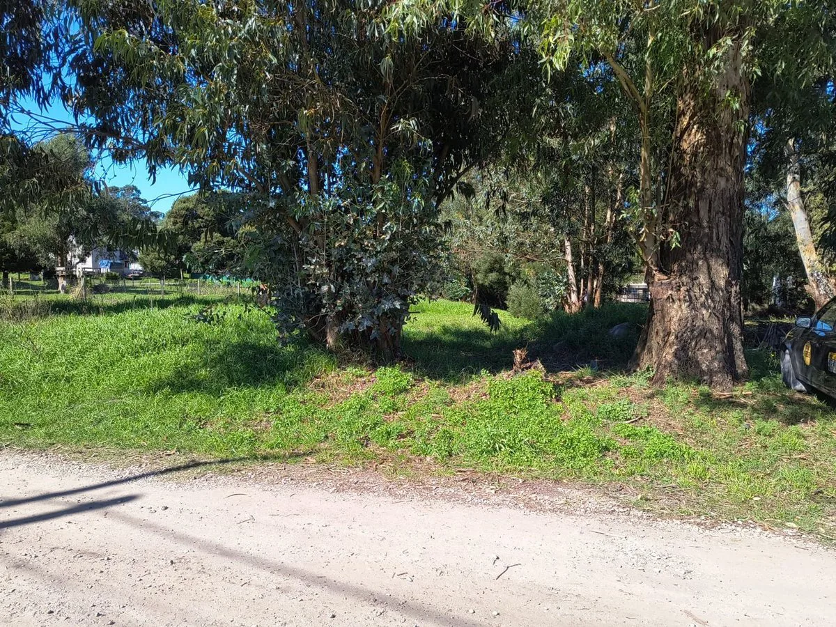 VENTA LOTE 700 MTR2 - SANTA CELINA foto 4