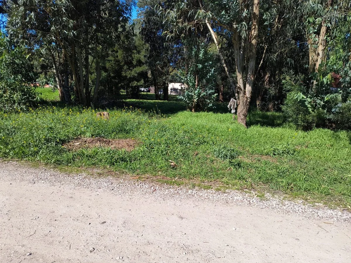 VENTA LOTE 700 MTR2 - SANTA CELINA foto 5
