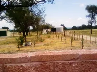 Venta Campo 891 hectáreas – Ruta 146 Km 5 – La Punta – San Luis foto 3