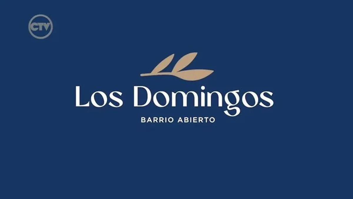 LOTE EN BARRIO LOS DOMINGOS EN VENTA, financiado!! foto 5