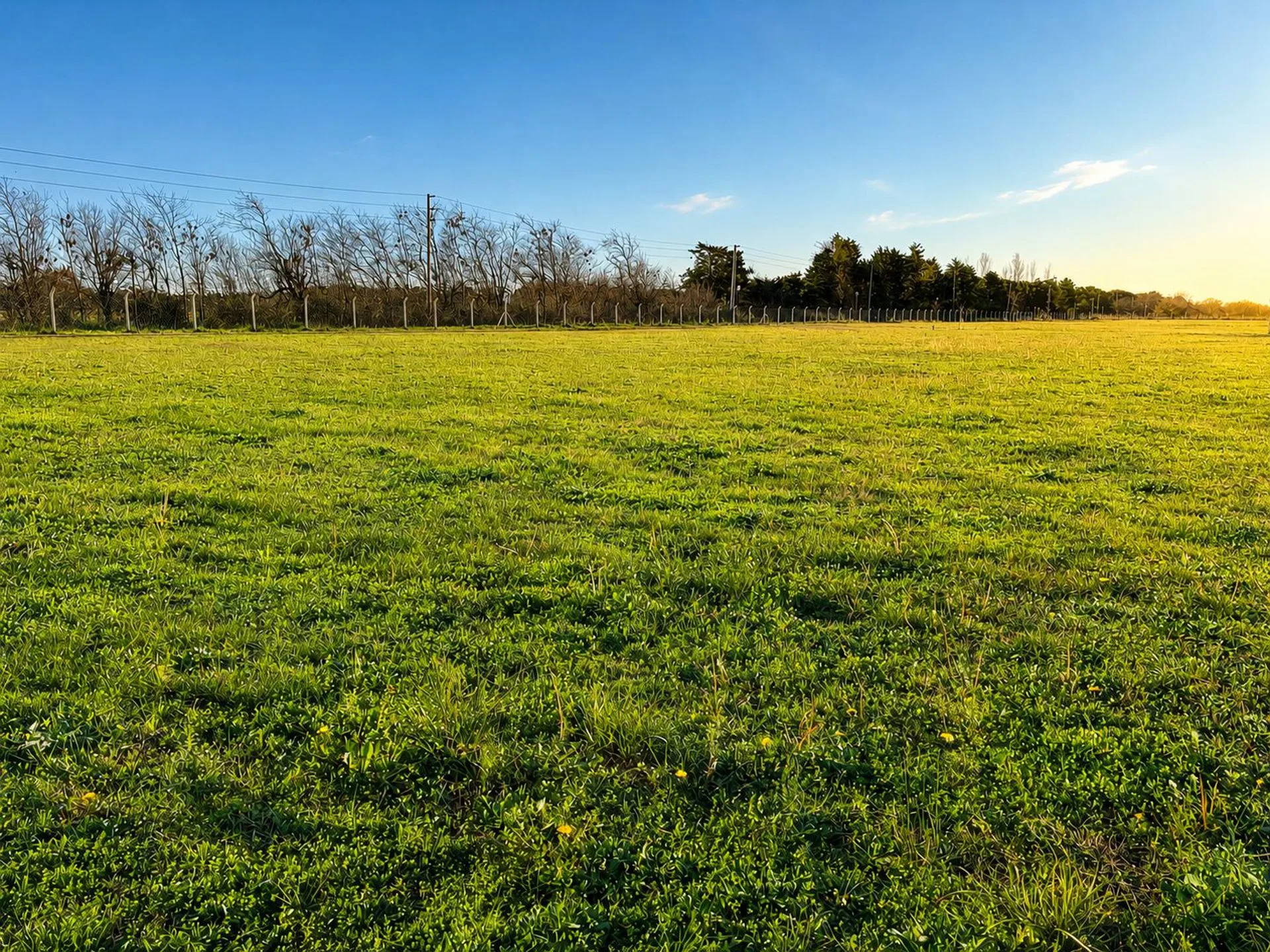 Terreno Lote en venta, Tres Pinos Villa De Campo foto 3