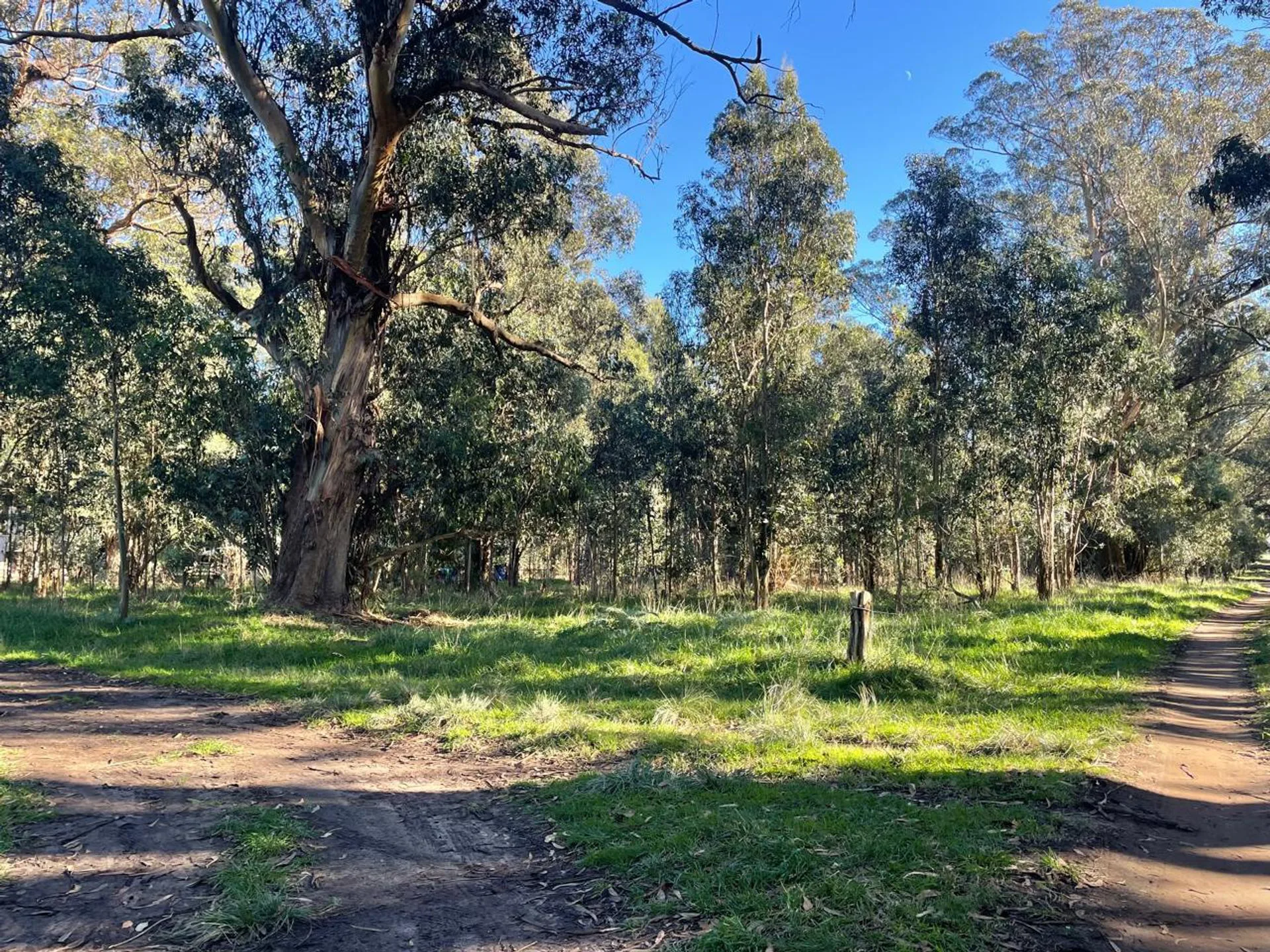 Venta lote de 311,20m2 en Parque Bristol foto 3