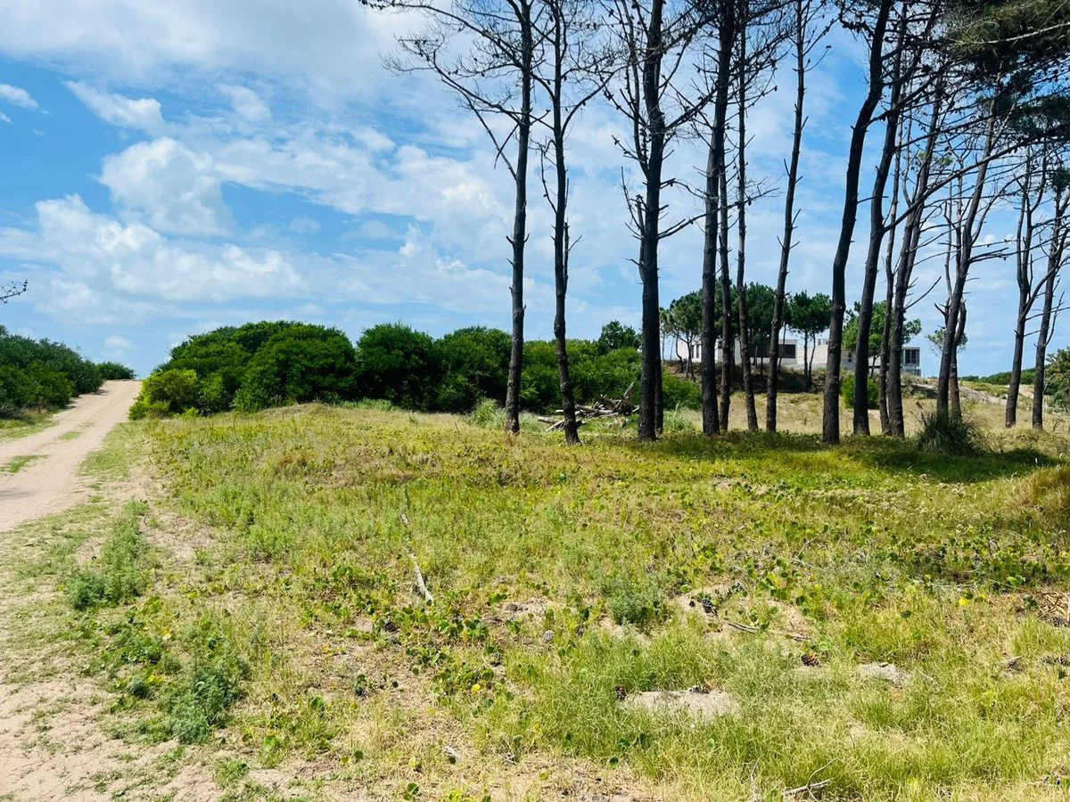 VENTA LOTE VILLA ROBLES BARRIO SERENA foto 3