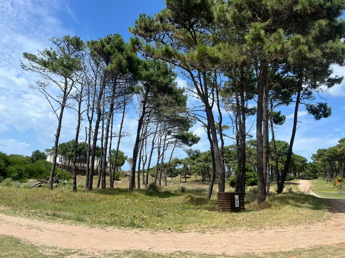 VENTA LOTE VILLA ROBLES BARRIO SERENA foto 4