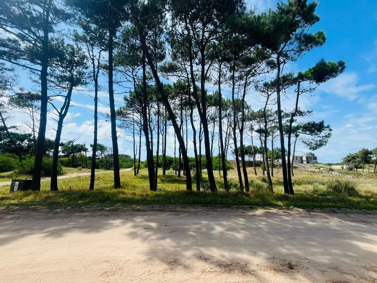 VENTA LOTE VILLA ROBLES BARRIO SERENA foto 5