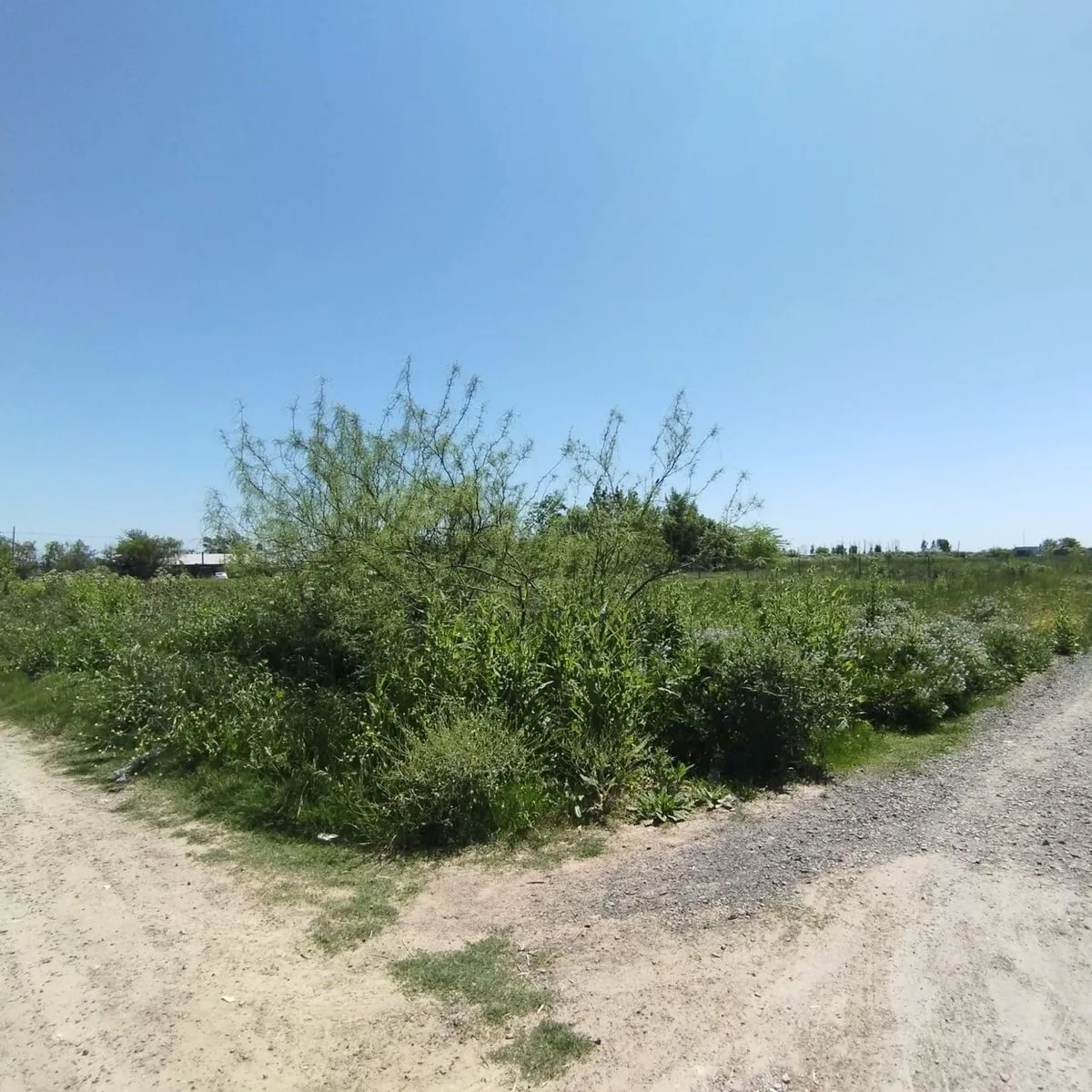 LOTE EN VENTA VILLA CASTELLS foto 4