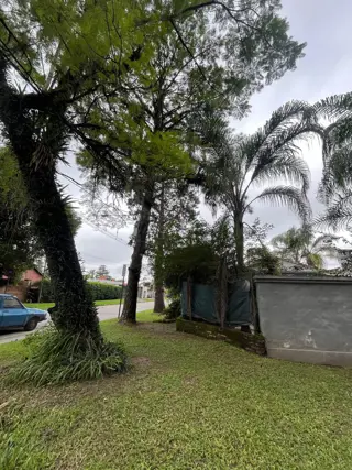 PROPIEDAD EN ALQUILER COMERCIAL EN YERBA BUENA foto 4