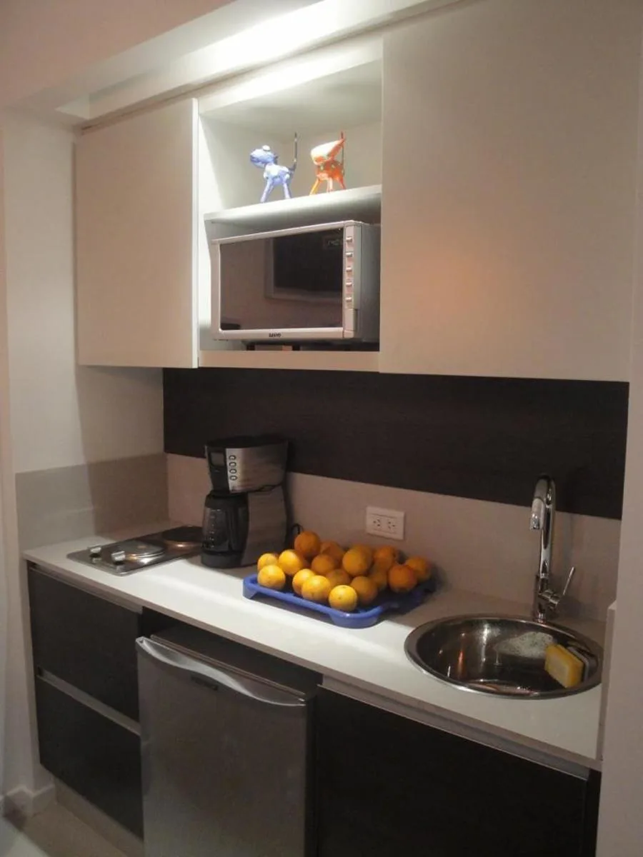 1-bedroom apartment in Palermo