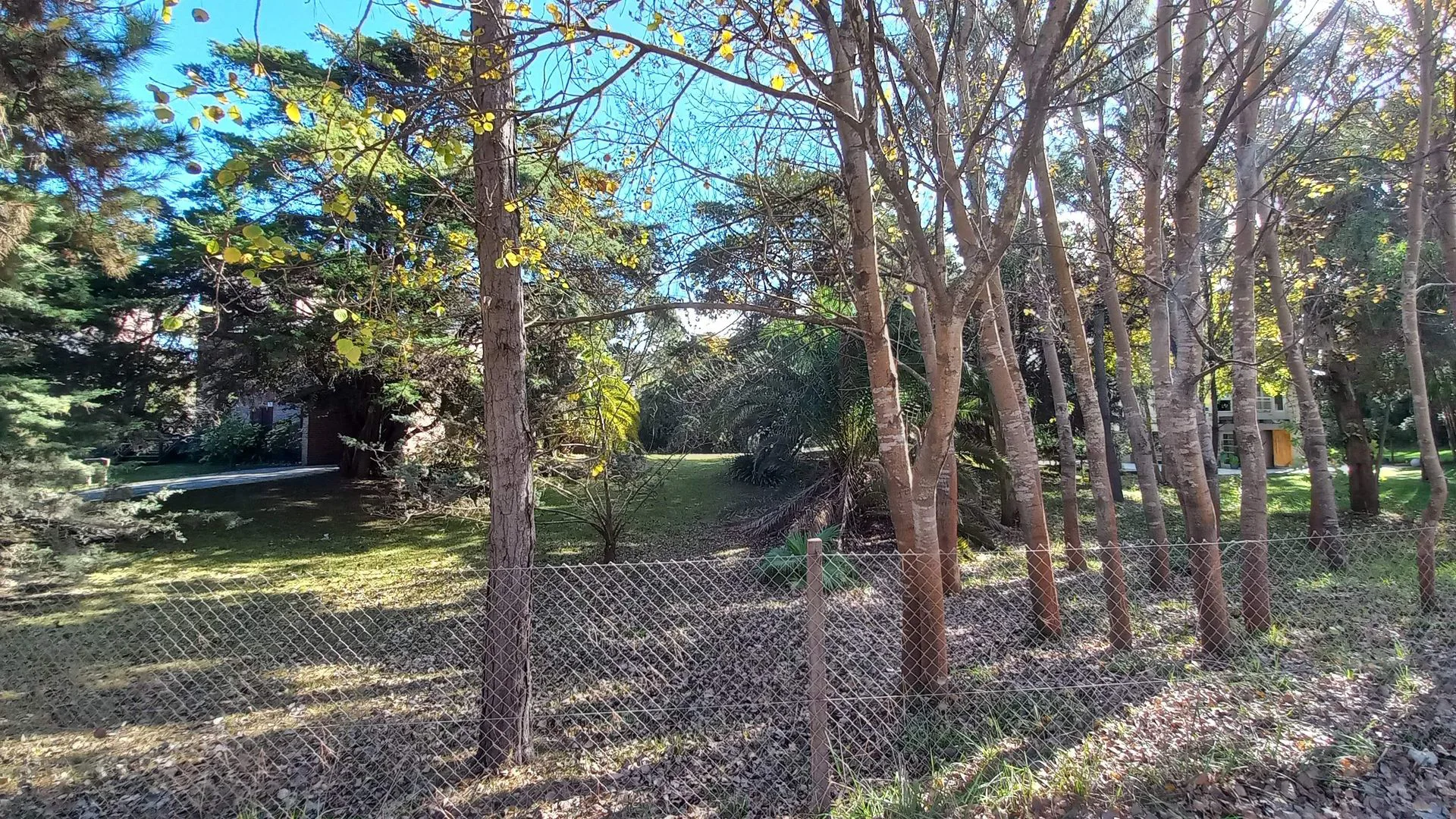 LOTE VENTA EN CARILO SOBRE AVENIDA DIVISADERO foto 2