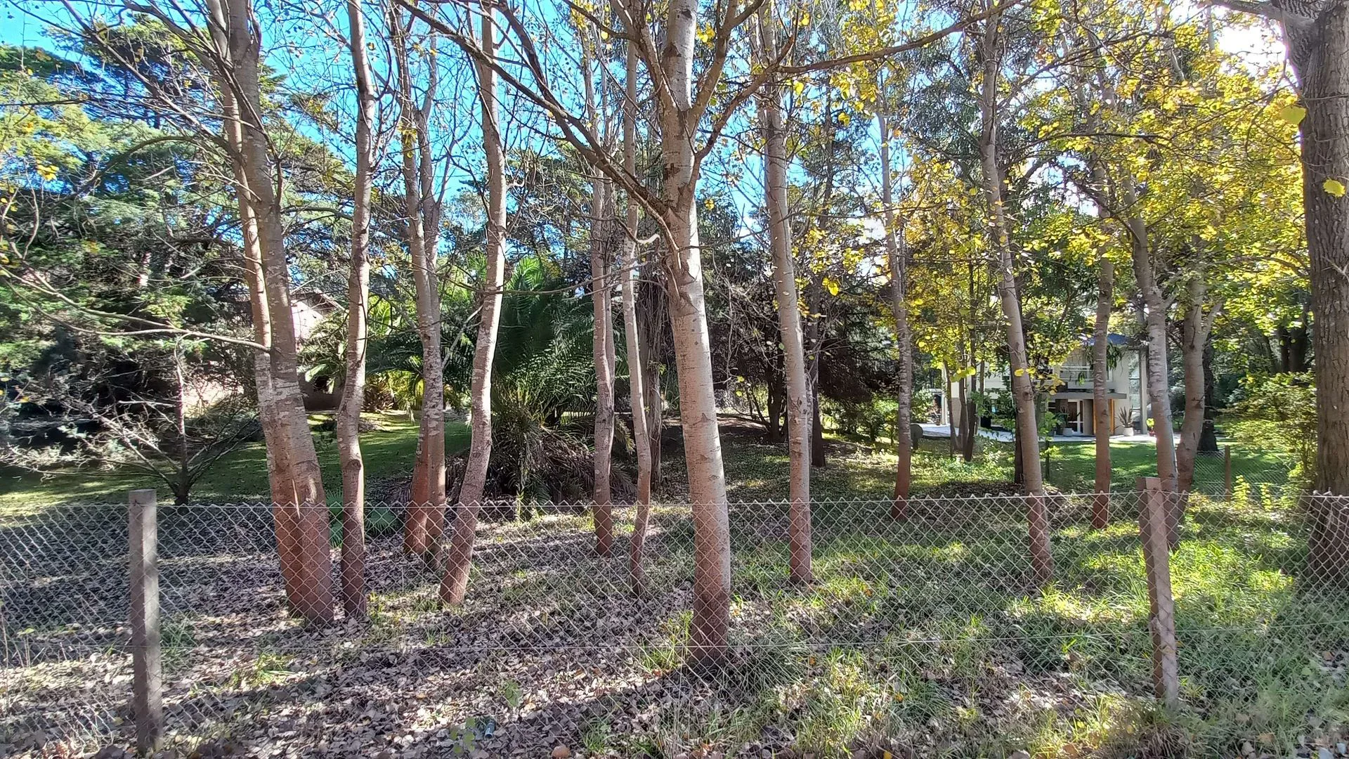 LOTE VENTA EN CARILO SOBRE AVENIDA DIVISADERO foto 3