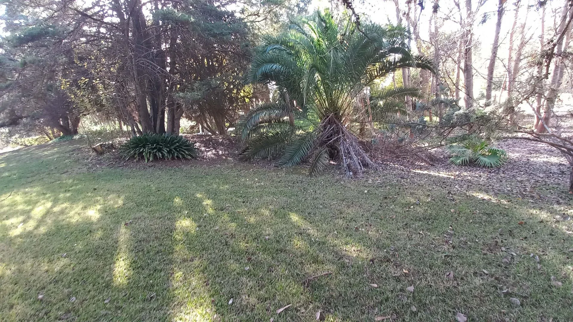 LOTE VENTA EN CARILO SOBRE AVENIDA DIVISADERO foto 4