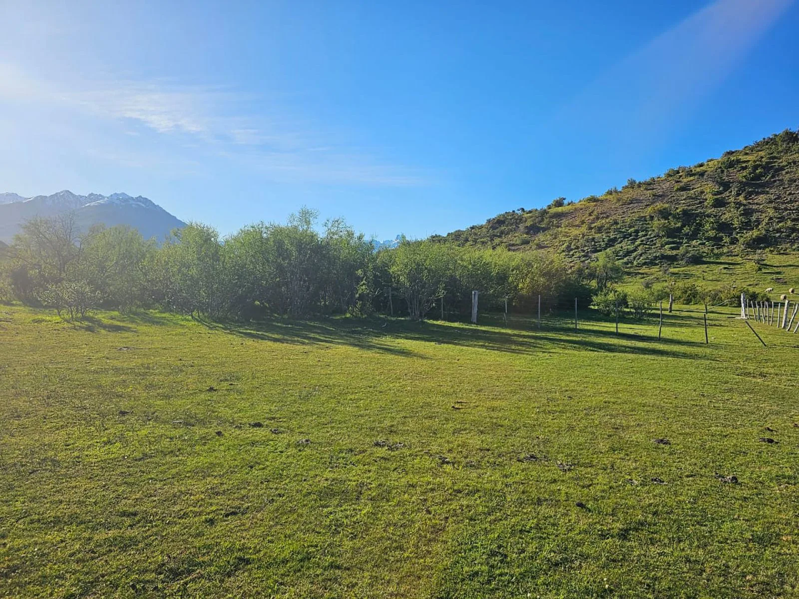 TERRENO DE 4 Has en CHOLILA CHUBUT foto 3