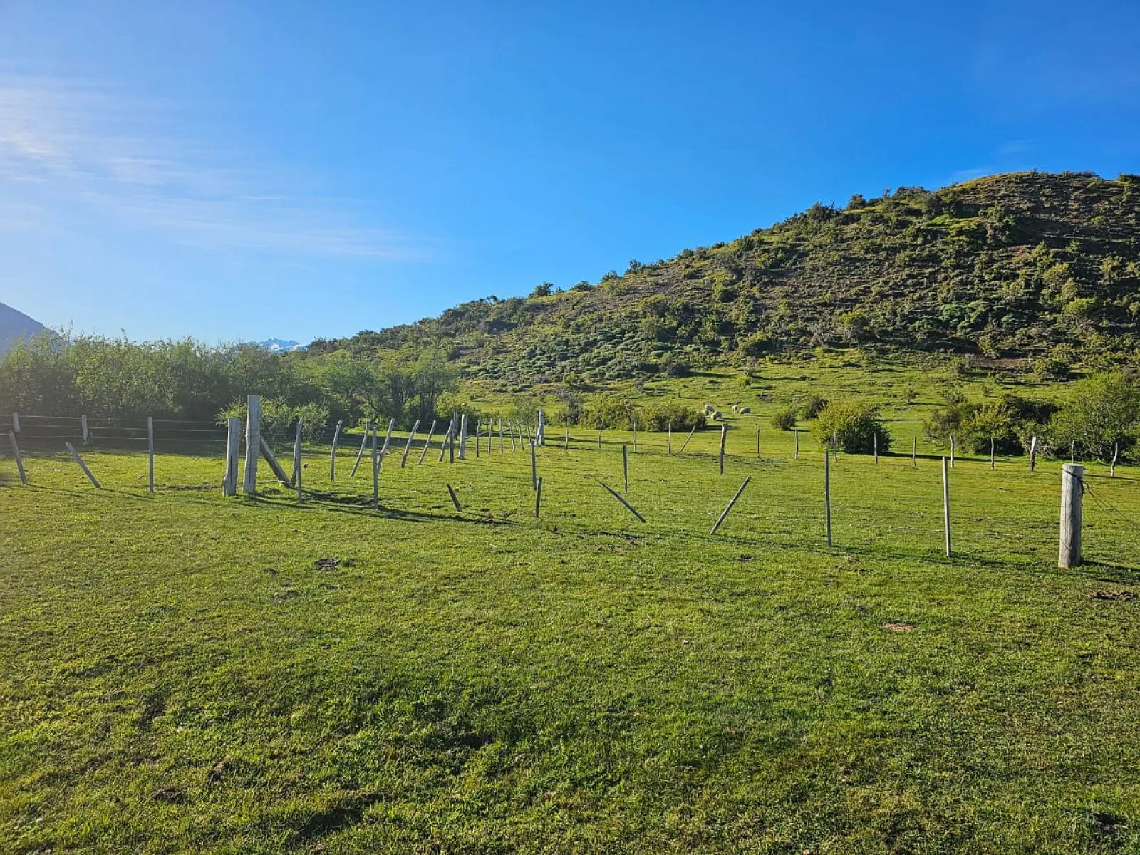 TERRENO DE 4 Has en CHOLILA CHUBUT foto 4