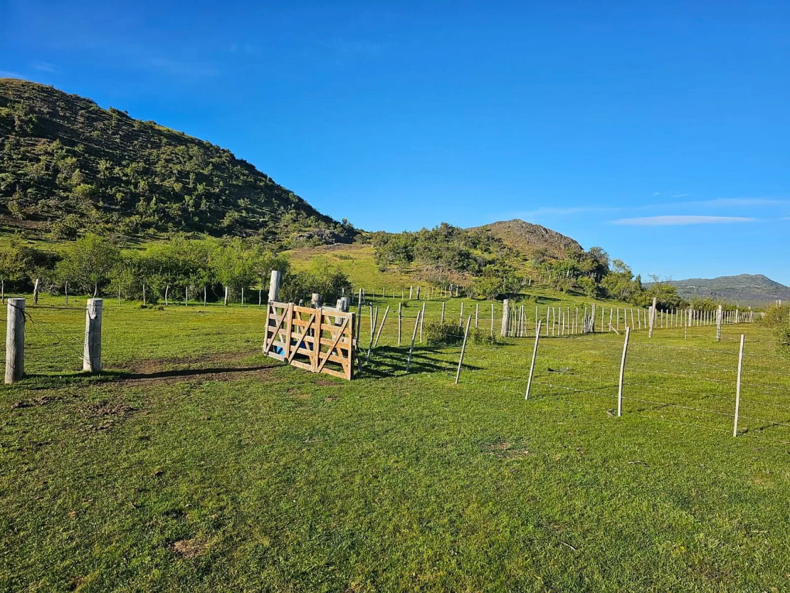 TERRENO DE 4 Has en CHOLILA CHUBUT foto 5
