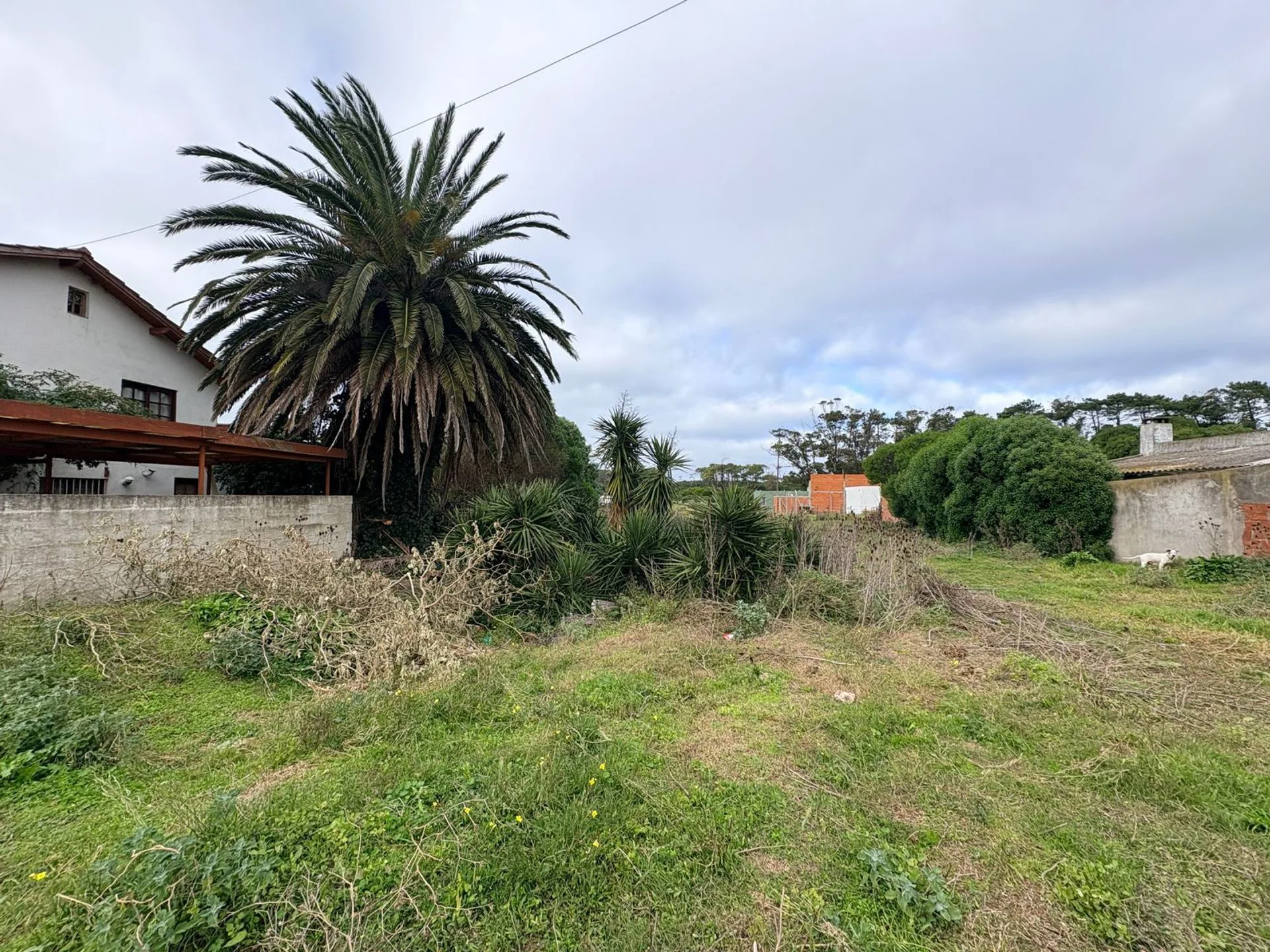 Venta Terreno Miramar foto 5