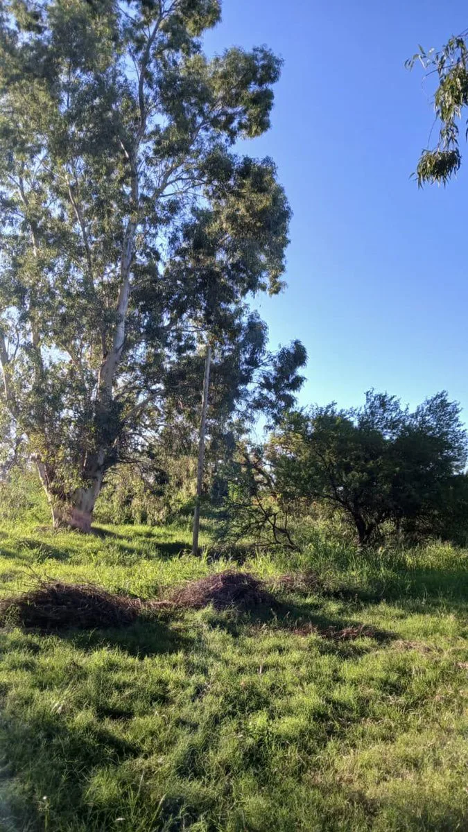 Venta | Lote en Arroyo Leyes | 439m2 foto 2