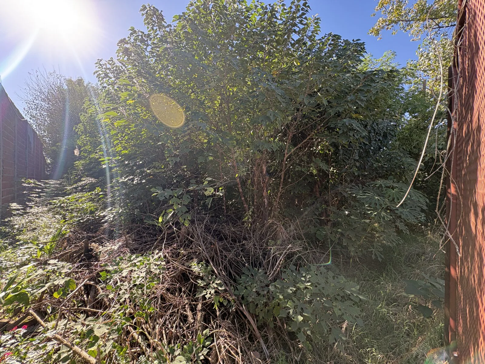 Terreno de 10x20 a Muy Buen Precio foto 2
