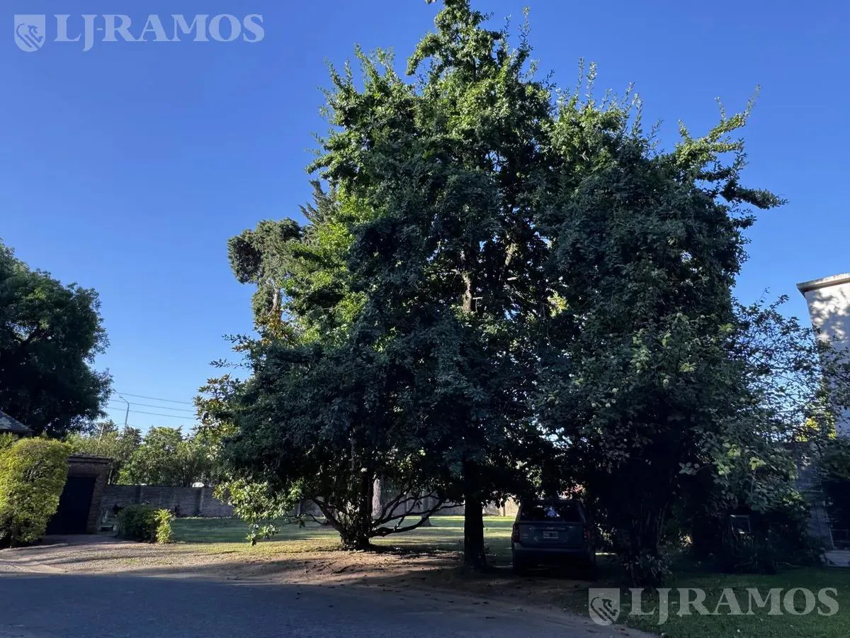 Terreno en venta Barrio Villa Bertha, Benavidez foto 4