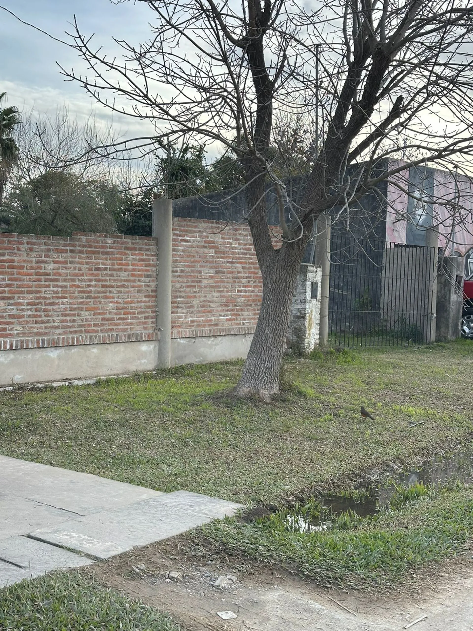 VENTA TERRENO CON CONSTRUCCIÓN EN SAUCE VIEJO foto 2