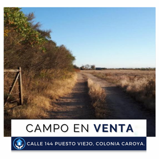 VENTA / 42 HECTÁREAS 9.957 m2, Colonia Caroya. foto 1