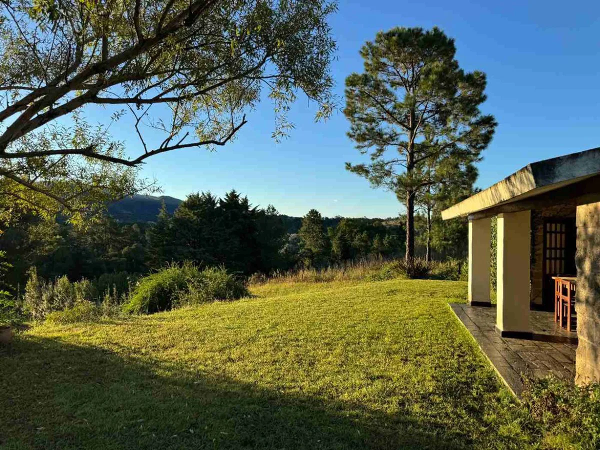 VENTA CASA SAN CLEMENTE 1 HECTAREA foto 4