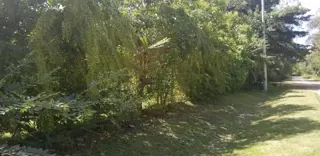 LOTE DE 833M² EN LA BOTA - ING. MASCHWITZ foto 3