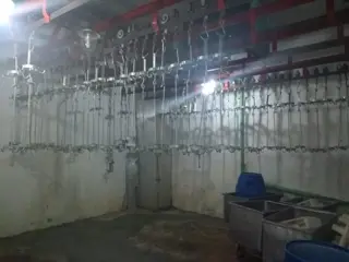 Planta, Frigorifico C/ Senasa Vacuno/porcino Mataderos foto 3
