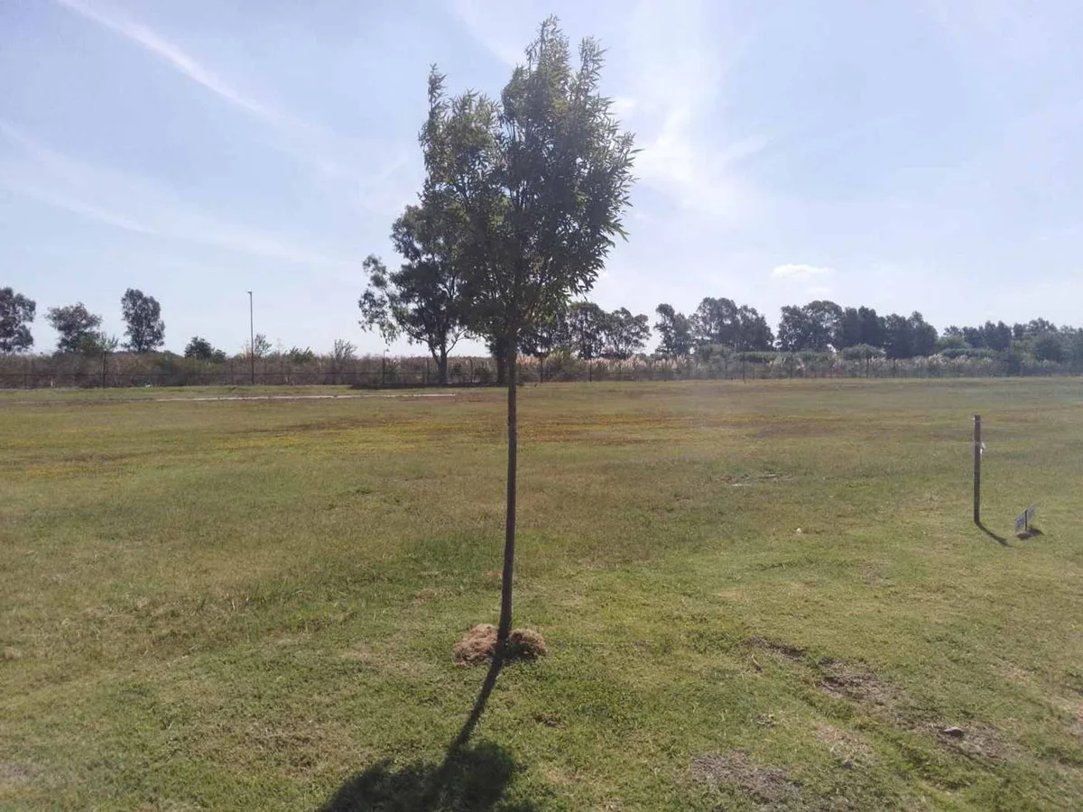 LOTE EN VENTA FINCAS DE SAN VICENTE foto 3