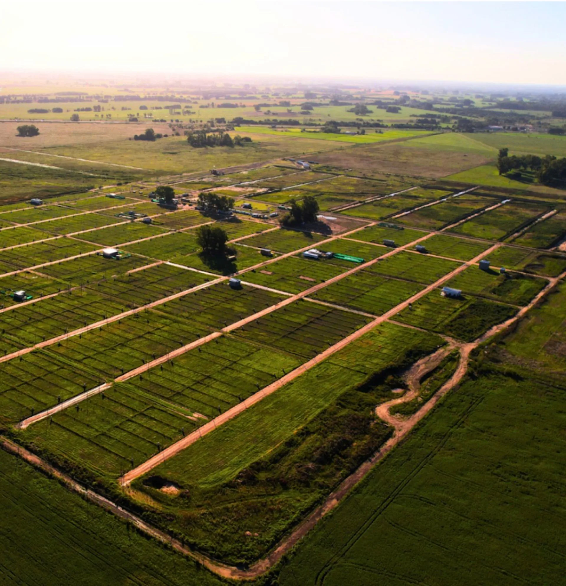 VENTA Lote 300 m2 en Reserva del Oeste foto 2
