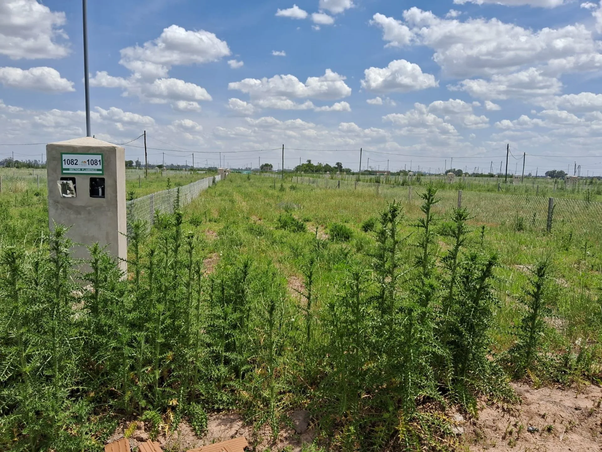 VENTA Lote 300 m2 en Reserva del Oeste foto 3